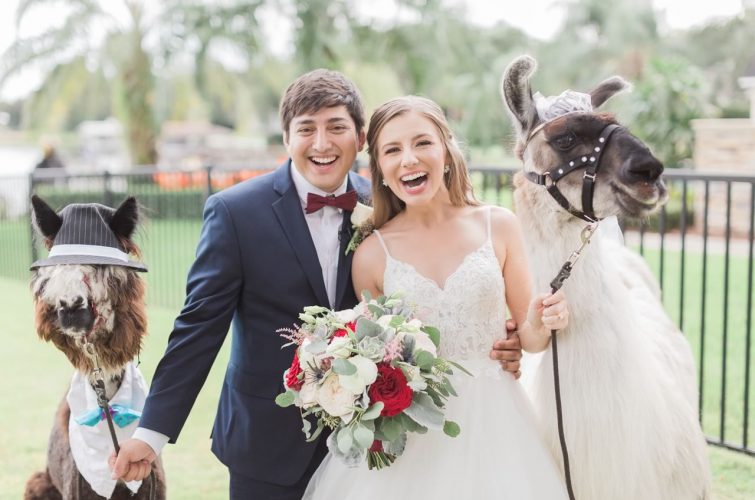 Funny Couple with Dressed-Up Llamas for Unique Bridal Hair and Makeup by Kristy's Artistry Design Team